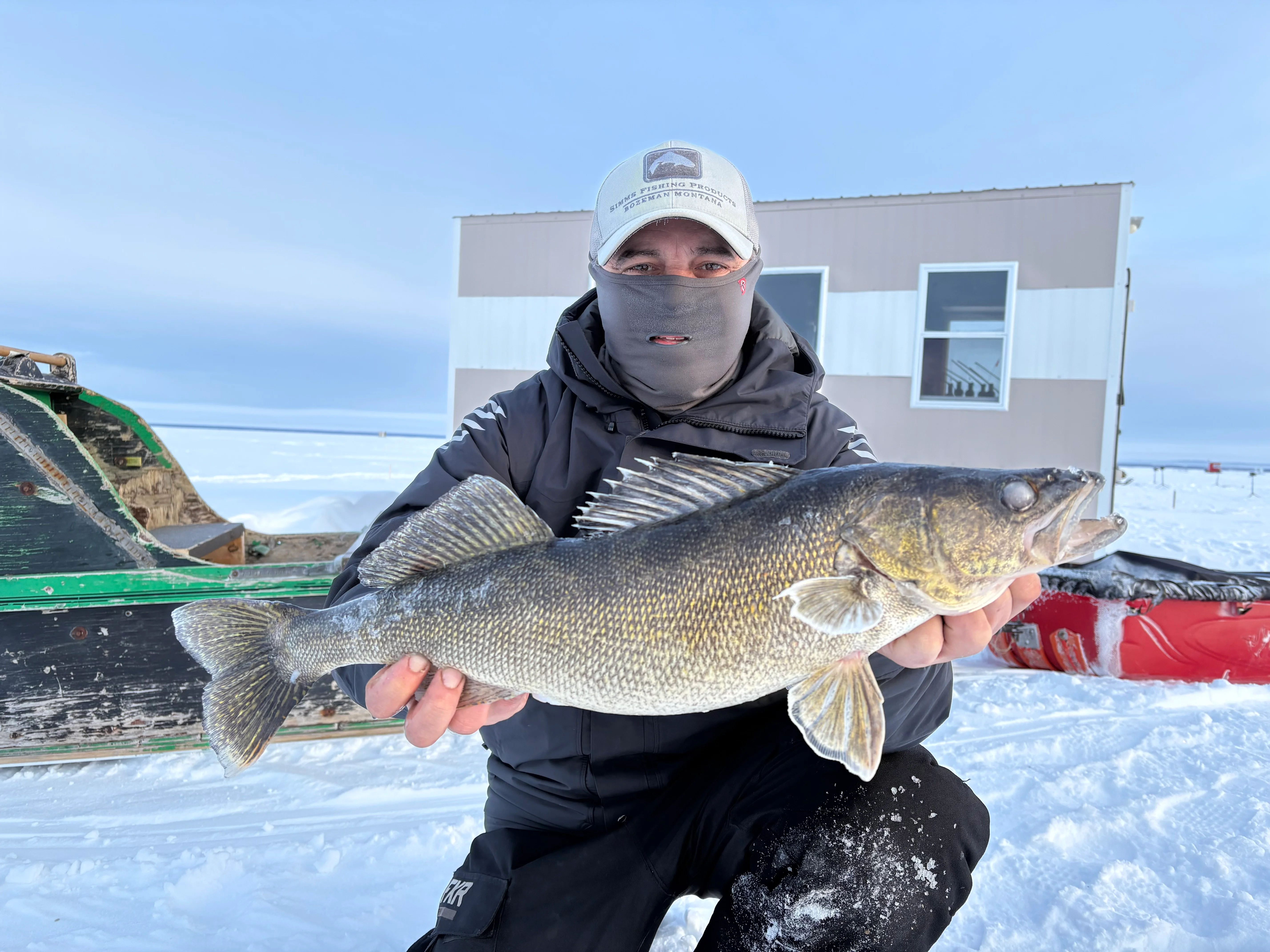 Pêcheur présentant un doré en hiver